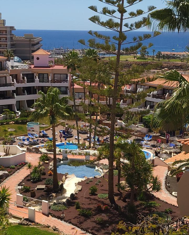Apartament Albatros Park Amarilla Golf Piscina Climatizada, Wifi San Miguel de Abona Zewnętrze zdjęcie